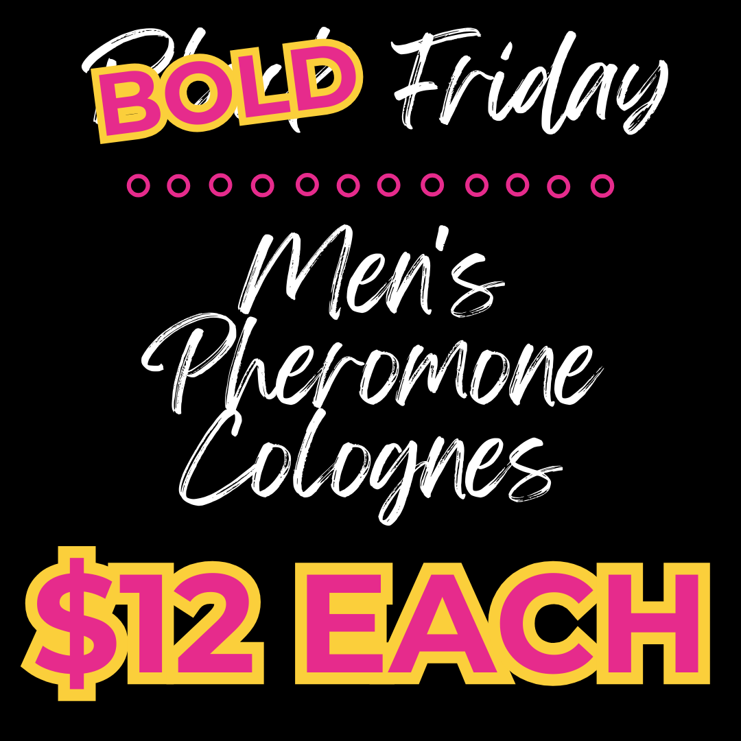Bold Friday Adult Colouring/Story Books