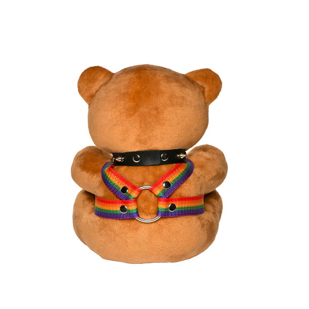 Pride Kink Bear